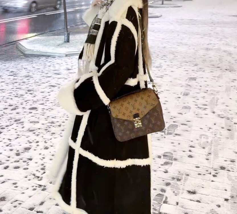 Louis Vuitton Pochette Métis, Reverse Monogram Canvas, Gold-tone S-Lock Hardware